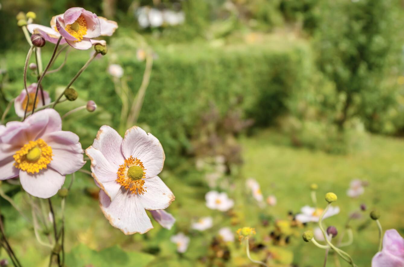 Bassett Terrace, Llanelli, SA15 4DY